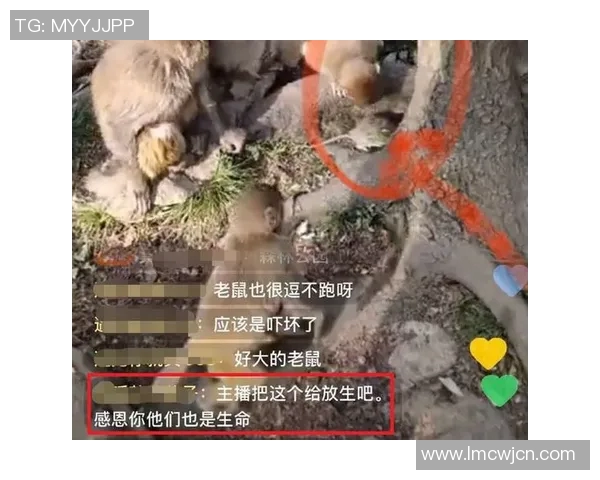 黔灵公园足球比赛直播精彩瞬间回顾与赛后分析分享 黔灵公园足球比赛直播精彩瞬间回顾与赛后分析分享