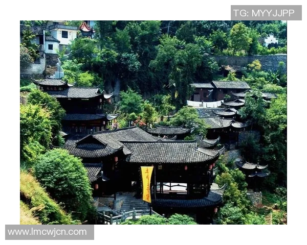 林孔的探索之旅：揭示自然与人文的和谐共生之道